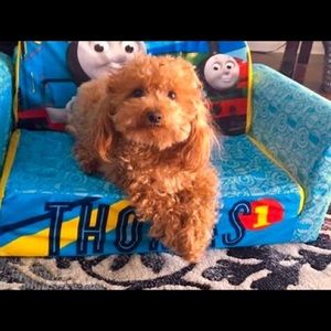 Meet your Posher, Mark